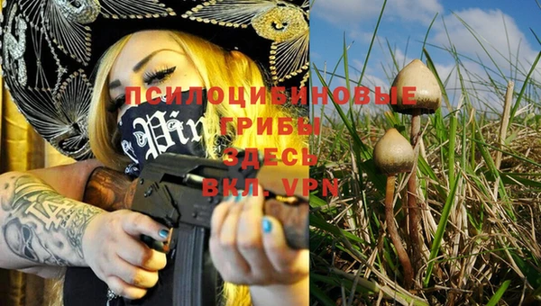 ALPHA PVP Вязьма