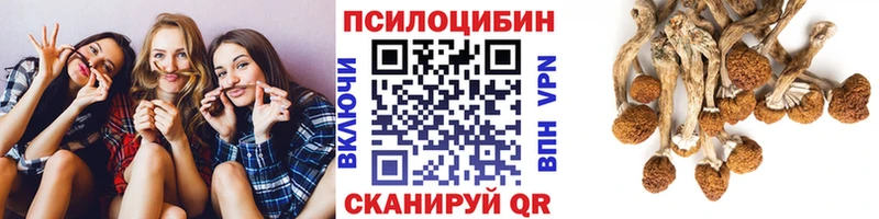 Купить  Белоярский  Галлюциногенные грибы мухоморы 